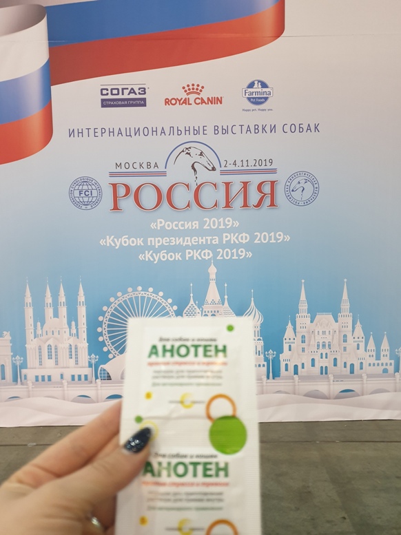 2-4 ноября Анотен принял участие в интернациональной выставке собак "Россия 2019"